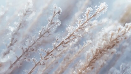 Obraz premium Close-up of polyester stable fiber. Focused view, shallow depth