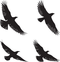 Fototapeta premium set of silhouettes of birds