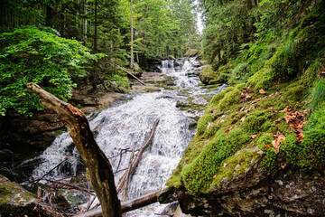 Wilder cascadierender Bachlauf im Nationalpark Bayerischer Wald, Bundesland Bayern, Deutschland