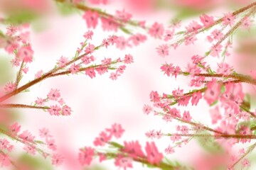 Obraz premium Hand Drawn Pink Cherry Blossom Branches Background Illustration