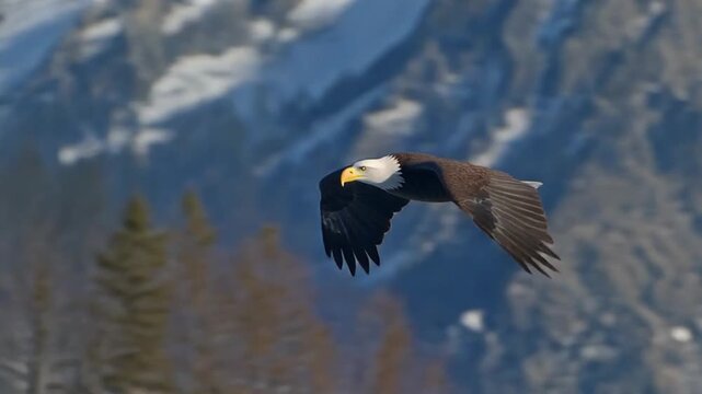 Bald eagle soaring through the air with mountains in the background