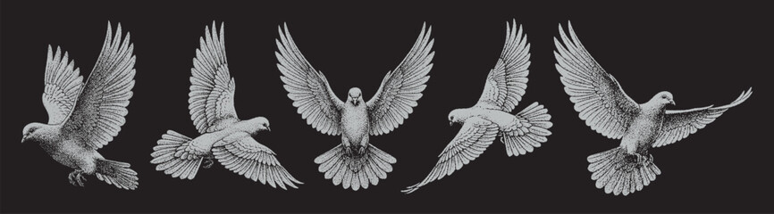 Vector collection pack six white hand-drawn flying doves illustrated on a black background. © Royalika