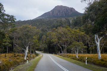 Naklejka premium Scenic Drive Beneath Mount Wellington, Tasmania, Australia