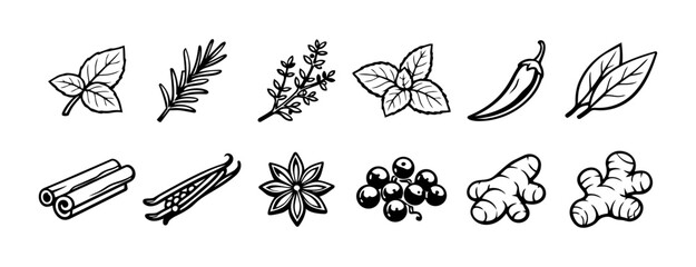 Spices and Herbs Icon Set – Minimalist Botanical Line Art Collection © Mediasegment