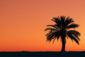 Palm Tree Silhouette at Vibrant Orange Sunset
