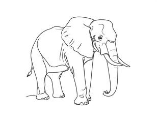 Fototapeta premium Detailed Line Art of an African Elephant Standing Tall.