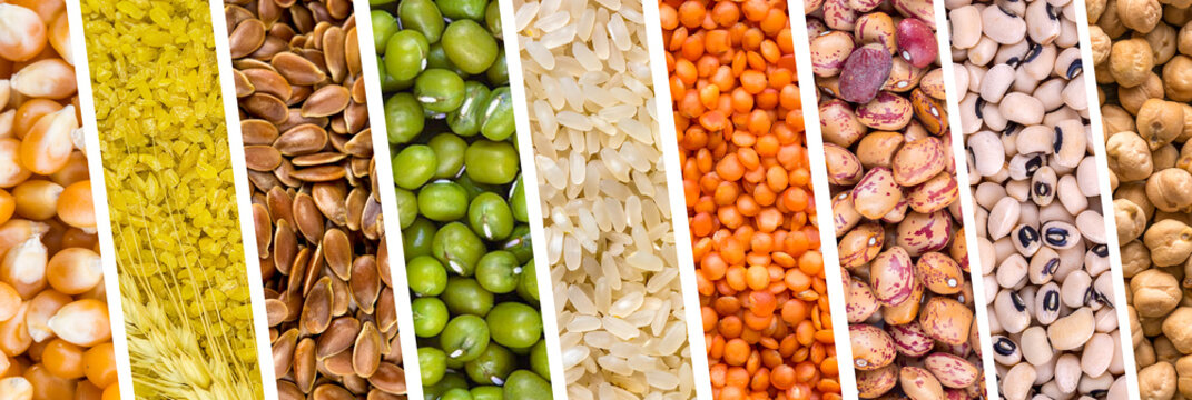 Legumes Natural Raw Mix Food Collage