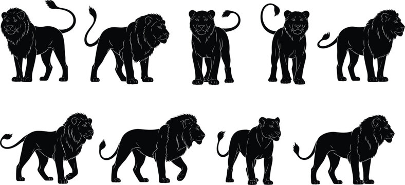 Black Lion Silhouettes Set, African King Lion and Lioness Standing and Walking, Vector Illustrations for Wildlife Safari Design and Zoo Logo.