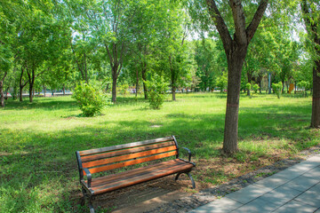 Fototapeta premium Wooden Leisure Bench in the Park Green Space