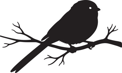 Long-tailed Tit in silhouette on white background. © Faisal