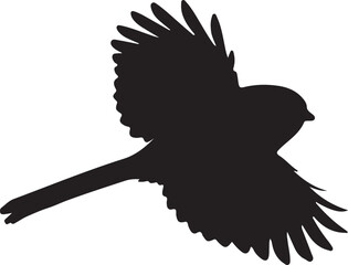 Long-tailed Tit in silhouette.. © Faisal