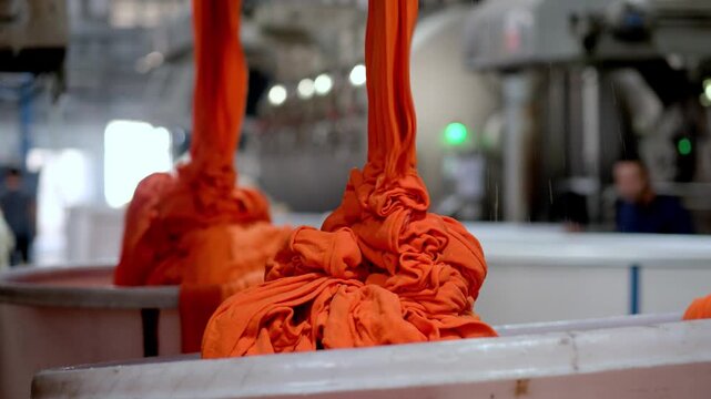 Professional industrial footage reflecting textile dyeing process and manufacturing discipline. Close up of bright orange fabric emerging from machinery in a textile factory.