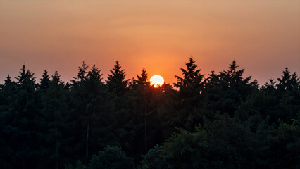 Serene Sunset Behind Dense Forest Silhouette with Warm Orange Sky and Soft Gradient Tones Ideal for Nature Backgrounds or Tranquil Mood Scenes