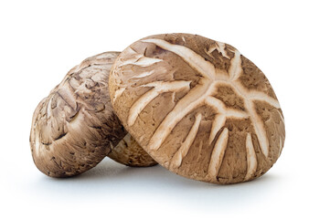 Front view of two shiitake mushrooms in stack isolated on white background with clipping path