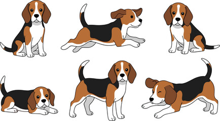 Beagle dog cartoon poses set showing sitting, running, playing and standing positions in cute vector illustration isolated on light background for pet design © Mehadul Expressive