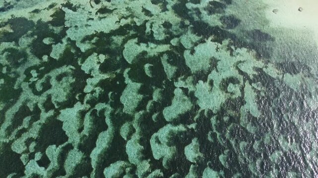Top down aerial drone forward movement above clear tropical waters at Geger Beach, Nusa Dua, Bali, Indonesia.