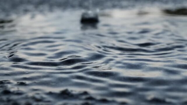 Close-up of a single water droplet creating ripples on a dark liquid surface