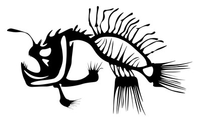 Angler Fish Skeleton