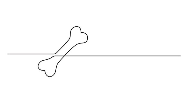 Self drawing line animation Dog Bone continuous one single line drawing. Full length animation. Bone continuous one line drawing, single line simple human bone vector art, 4k animation video.