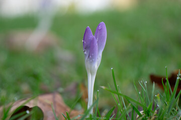 Region Teutoburger Wald im Fr&uuml;hling