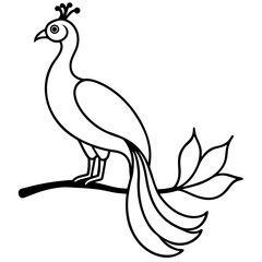 vector illustration of a peacock