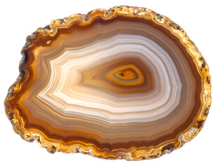 A polished agate slice displays intricate, banded layers of warm earthy tones