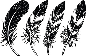 Obraz premium Black and white of four feathers bird quill