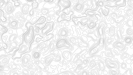 Geography landscape Topo contour map on white background, Topographic contour lines. Seamless pattern with lines Topographic map. Geographic mountain relief diagram line wave carve pattern.  © Mst