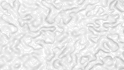Abstract topography contour map line and modern wavy map line design, geography map contour  wave line white background.  © Mst
