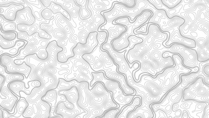 Topography background. Vector banner. Topography map background. Vector geographic contour map. Background of the topographic map. Topographic map lines, contour background.  © Mst