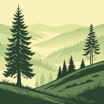 forest in the mountains