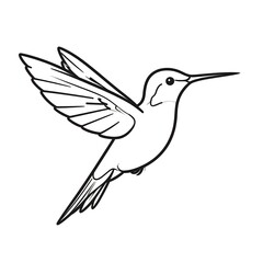 Obraz premium Simple black line drawing of a hummingbird in flight
