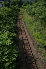 田舎の廃線になった線路