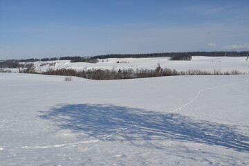 Obraz premium 冬の美瑛 白い丘と青い影