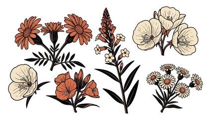 Fototapeta premium Vintage botanical illustration of various wildflowers in earthy tones