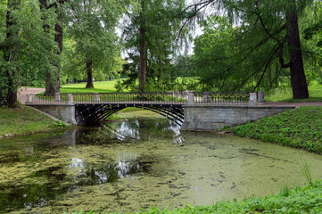 Naklejka premium Elegant arched metal bridge over a duckweed covered canal in the lush greenery of Alexander Park