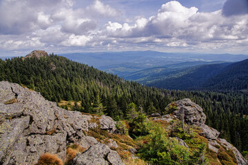 Blick vom gro&szlig;em Arber in das riesige Waldgebiet im Nationalpark Bayerischer Wald , Bayern, Deutschland