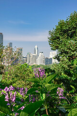 Fototapeta premium Bangkok city skyline viewed from Lumphini Park green area modern urban building s in Dusit Arun Central Park district in the background, representing green city concept, urban nature balance.