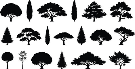 Tree silhouette vector illustration with diverse foliage and trunk shapes showing coniferous and broadleaf forms © designspro