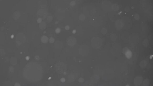 Slow motion falling snow particles on background, cinematic winter atmosphere with dense blizzard effect, swirling flakes, bokeh for overlays. ProRes 422, 10 bit ungraded C-LOG2, Slow motion video.
