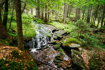 Blick auf einen Miniwasserfall an einem Bachlauf im Nationalpark Bayerischer Wald, Bayern, Deutschland