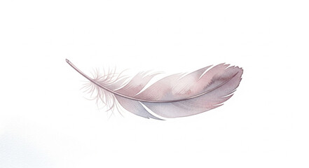 Obraz premium Delicate Feather Floating Gracefully Isolated on White Background.
