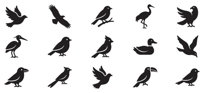 Various bird icons collection featuring diverse species and poses, perfect for nature, wildlife, or environmental design projects and applications.