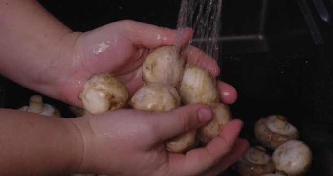 Close-up of a woman's hands carefully washing a handful of fresh white button mushrooms under running water in a black kitchen sink, preparing the ingredients for a healthy meal..