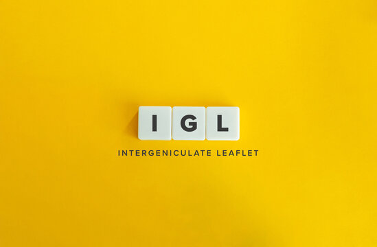 IGL Intergeniculate Leaflet Acronym Typography Concept on Yellow Background for Neuroscience Circadian Rhythm and Medical Education