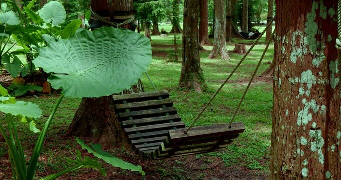 Wooden hammocks hanging in the woods sway gently in the breeze.