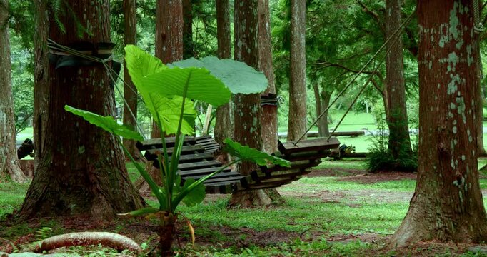 Wooden hammocks hanging in the woods sway gently in the breeze.