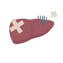 Illustration of an unhealthy-looking liver with a bandage on it