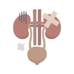 Illustration of an unhealthy-looking kidney and bladder with a bandage attached