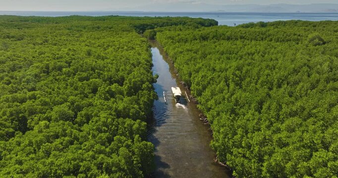 Lombok, Gili islands travel: Aerial view of traditional outrigger boat navigating narrow, winding canal through dense, lush green mangrove forest, leading towards the open ocean under clear blue sky